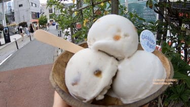 【表参道スイーツ】ココナッツの殻に入ったアイスクリームが可愛い！ハワイ・マウイ島から日本初上陸！オーガニックのココナッツアイス「COCONUT GLEN’S(ココナッツグレン)」