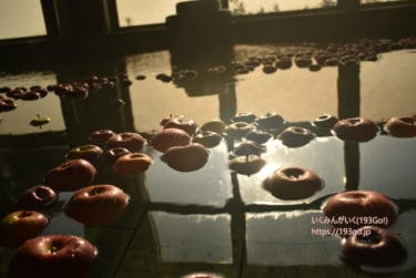 【茨城 旅館】大子温泉でりんご風呂＆ご当地食材ふんだん常陸牛の夕食「やみぞホテル」に宿泊