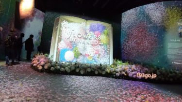 【東京・日本橋  イベント】日本一早いお花見「FLOWERS BY NAKED 2020 －桜－」1/30からコレド室町で開催《動画あり》