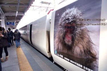 【長野　渋温泉】スノーモンキーに乗って　列車の旅　雪景色の温泉街