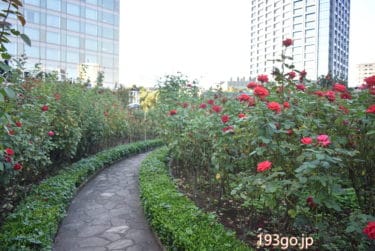 ホテルニューオータニ Red Rose Garden クラブラウンジがエントランス！3万輪の赤い薔薇の世界へ