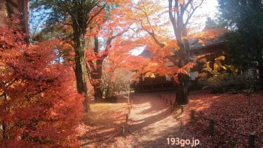 【長野 小諸市】「懐古園」の紅葉が美しかった！見ごたえある園内。ローカルな動物園も隣接