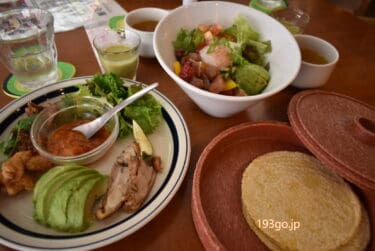 【世界の料理】メキシコは南米じゃない⁈新宿三丁目のメキシコ料理「AVOCADO」店内はアボカドモチーフ、愉快なガイコツも