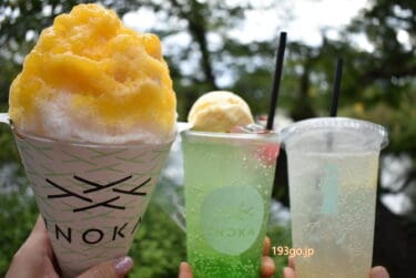 吉祥寺 井の頭公園の中のカフェ「INOKA」パッケージが映える！かき氷とカラフルフロート　ボートの後に冷んやり