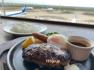 羽田空港グルメ！飛行機が見えるレストラン　エアポートグリル&バールでジューシーハンバーグ　