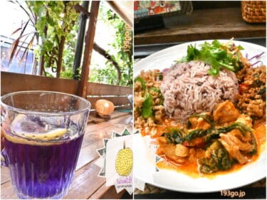吉祥寺の人気タイ料理「アムリタ食堂」のランチへ！好きなおかず3品選べるラートカオ屋台　テラスでタイ気分　映えるスイーツも
